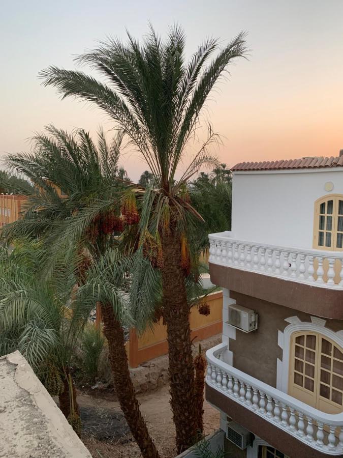 شقة Moon House Of الأقصر المظهر الخارجي الصورة